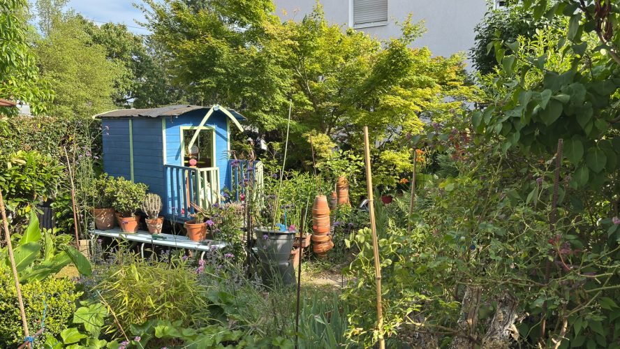 SOS Plantes-23