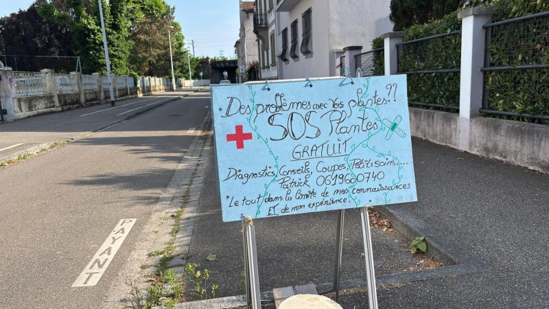 SOS Plantes-32