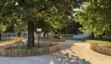 Toulouse. D'une esplanade bitumée à un espace végétalisé : ce square s'est transformé
