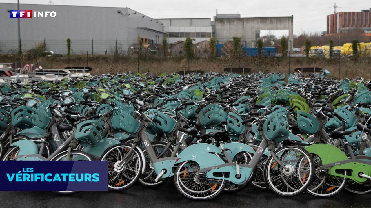 VÉRIF' - Que sait-on de ce "charnier de Vélib'" aux portes de Paris ?