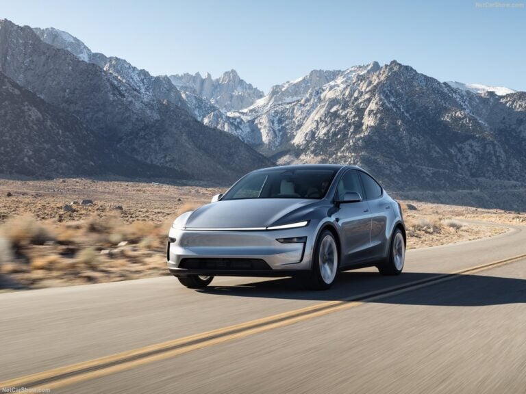 <p>Tesla Model Y</p>
