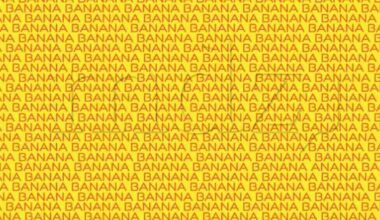 Repérer le mot "anana"