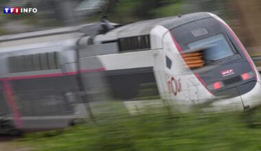 Pagaille sur les rails entre Paris, Lyon et Marseille : "On est restés bloqués pendant plus de 7 heures"
