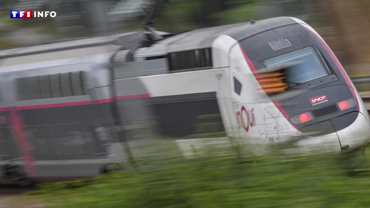 Pagaille sur les rails entre Paris, Lyon et Marseille : "On est restés bloqués pendant plus de 7 heures"