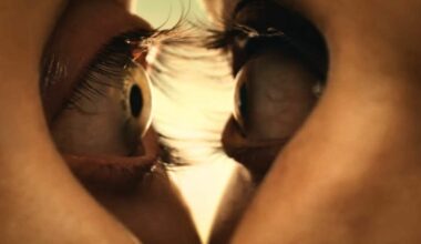 c'est quoi ce film d'horreur que tout le monde adore ?