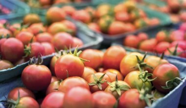 L'État veut muscler l'agriculture bio en Île-de-France