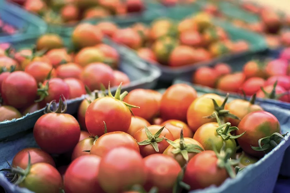 L'État veut muscler l'agriculture bio en Île-de-France