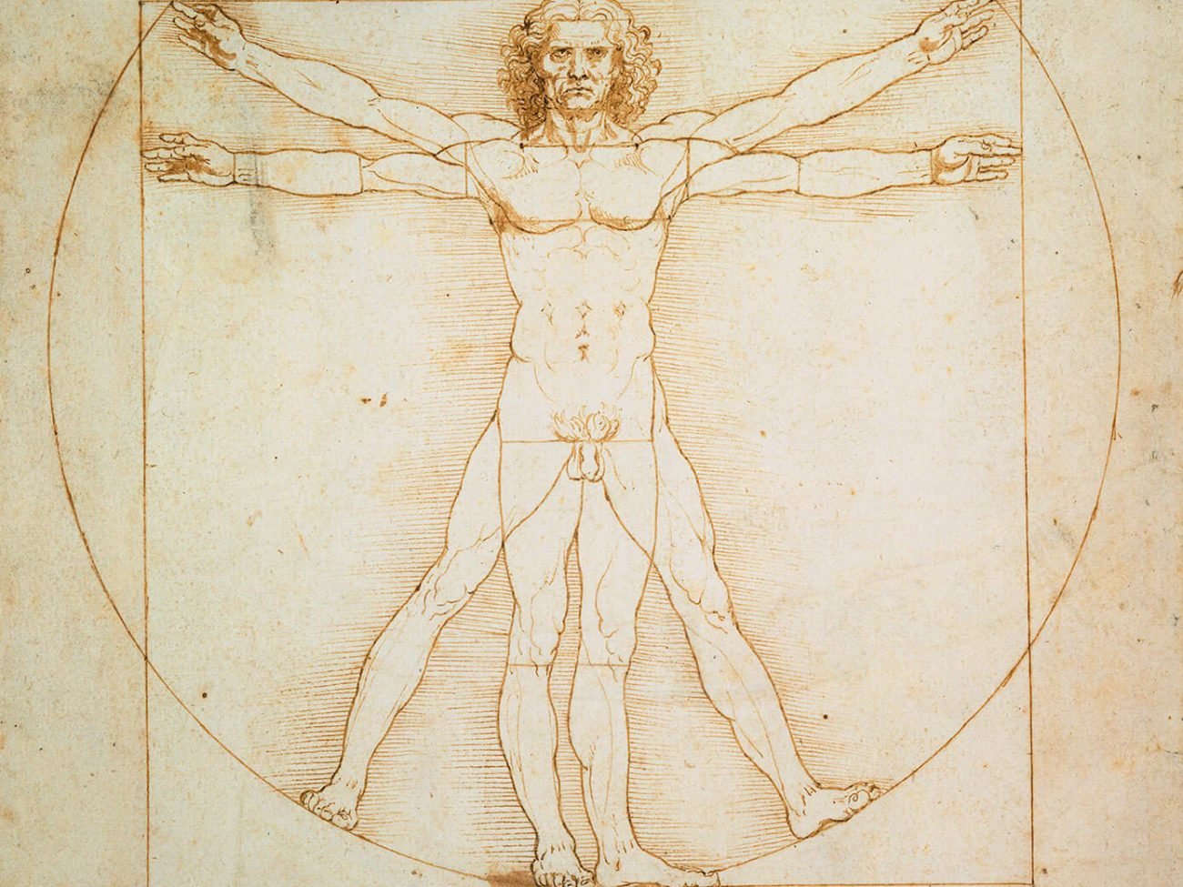 Léonard de Vinci, Les proportions humaines, d’après Vitruve (L’Homme de Vitruve)