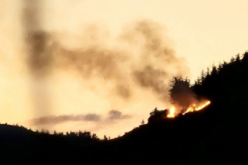Un incendie s'est déclenché le dimanche 29 juin au lieu dit Le Pertuiset sur la commune d’Unieux.
