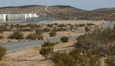 Immigration aux Etats-Unis : la politique de Donald Trump fait exploser les centres de rétention privés