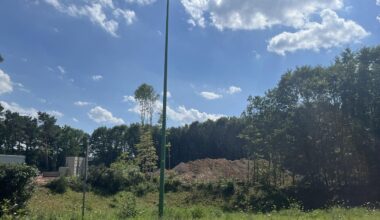 « On mange la forêt depuis des années », s'agace un élu écolo
