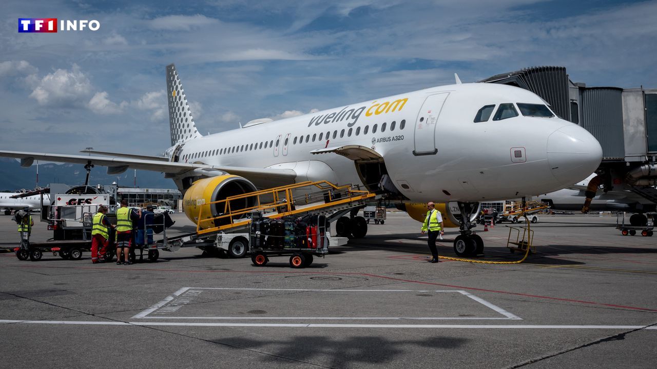 Ados français juifs débarqués d'un vol Vueling : Paris demande des "explications" à la compagnie