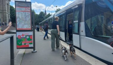 "C'est comme se déplacer avec sa poussette"