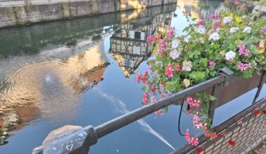 A Strasbourg, les systèmes d'arrosage des jardinières sont régulièrement vandalisés