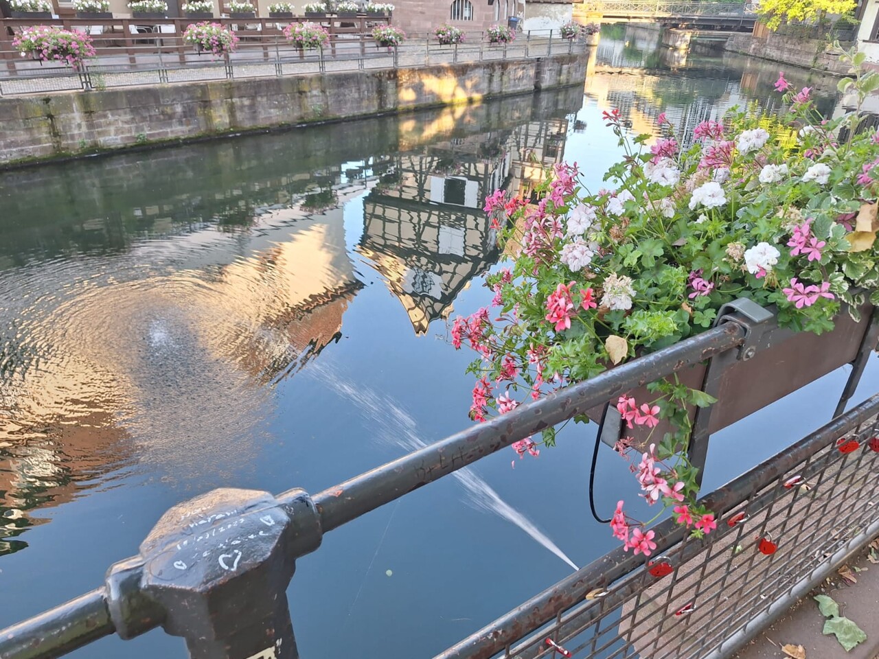 A Strasbourg, les systèmes d'arrosage des jardinières sont régulièrement vandalisés