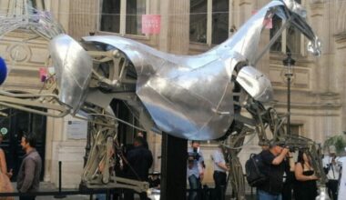 On sait désormais où Zeus, le cheval des Jeux olympiques, sera exposé à la rentrée !