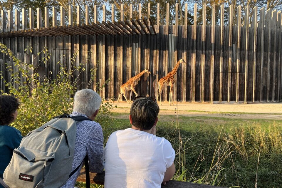 Le zoo du parc de la Tête d'or ne fermera pas insiste la mairie de Lyon.