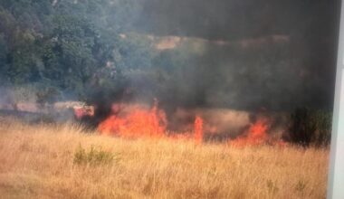 trois feux de végétation volontairement allumés à Vailhauquès et Montarnaud