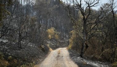 le feu "demeure actif", un sapeur-pompier supplémentaire a été blessé