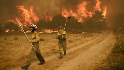 Des résidents combattent les flammes au niveau de la commune d'Ourense, dans la région de Galice (Espagne), le 14 août 2025. (MIGUEL RIOPA / AFP)