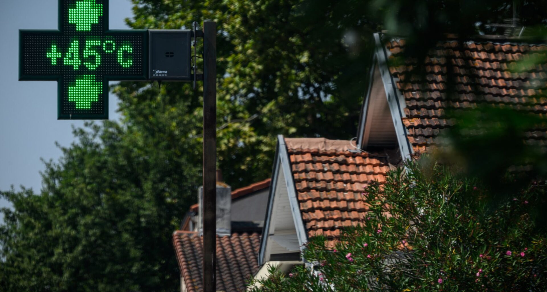 les feuilles mortes se ramassent à la pelle, particulièrement cette année, avec la canicule