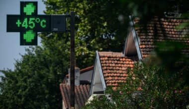 les feuilles mortes se ramassent à la pelle, particulièrement cette année, avec la canicule