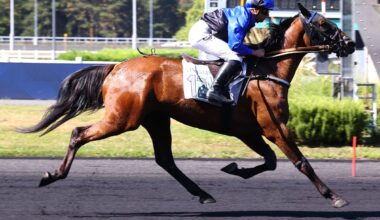 Leader de Sèvre s'impose dans le Prix de Toulon ce lundi à Vincennes