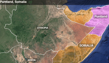 La Somalie et les USA ont mené une opération contre l’EI au Puntland
