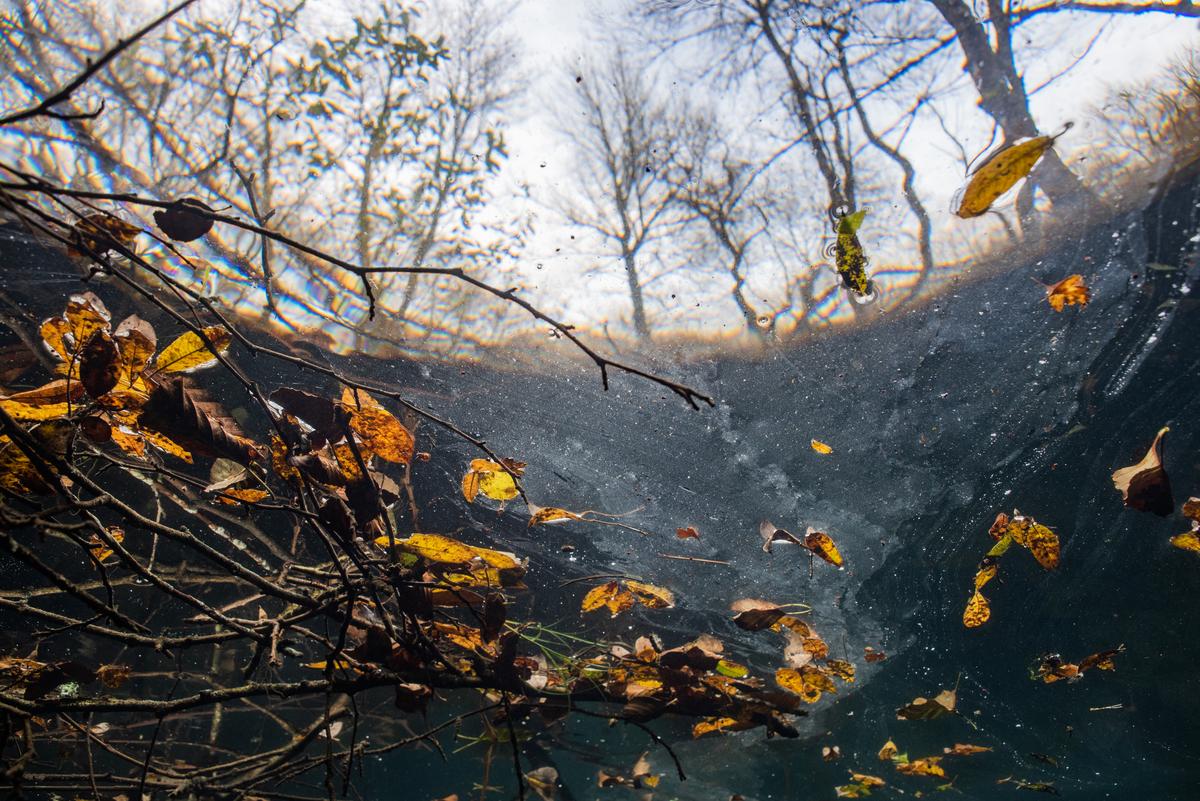 Incroyable photo réalisée dans la Péruse, près de Ruffec. Paysage d’automne en contre-plongée.