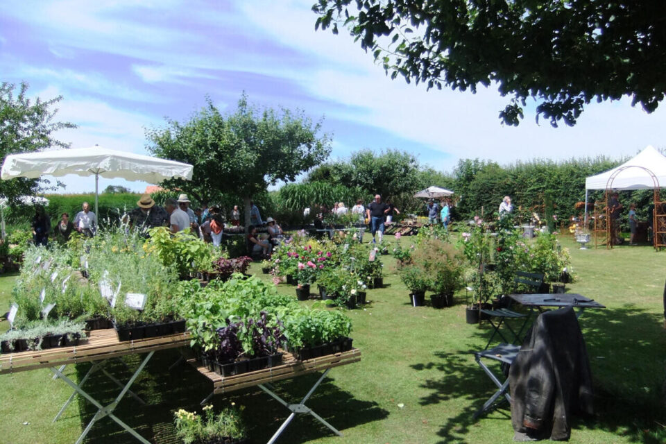 Le Jardin Plume d'Auzouville-sur-Ry est un véritable havre de paix.