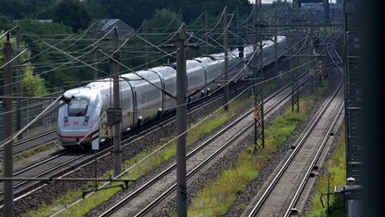 Un train passe en gare de Wustermark, en Allemagne, le  2 août 2025. (MICHAEL BAHLO / DPA / AFP)