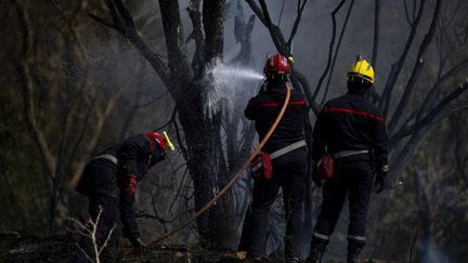 Les sapeurs-pompiers s'efforcent d'éteindre l'incendie à Saint-Laurent-de-la-Cabrerisse (Aude), le 7 août 2025. (LORENA SOPENA / ANADOLU / AFP)