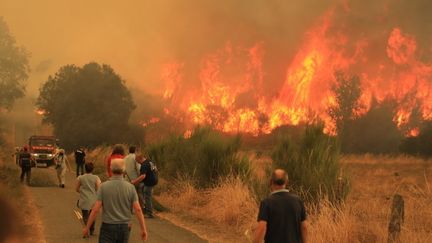 Dans le nord de la péninsule ibérique, les incendies, toujours hors de contrôle, ont entraîné la mort d'un homme, dans la soirée du vendredi 15 août, au Portugal. Face à l'ampleur des flammes, l'Espagne demande l'aide de l'Union européenne.