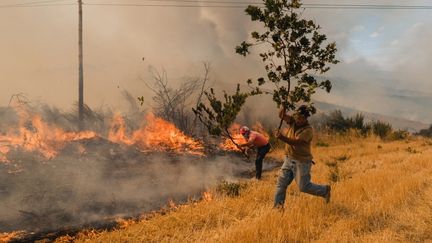 Des flammes se propagent à Vilela Seca, au Portugal, le 19 août 2025. (PEDRO PASCUAL GARCIA / ANADOLU / AFP)