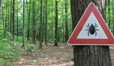 un cas de peste confirmé en Californie