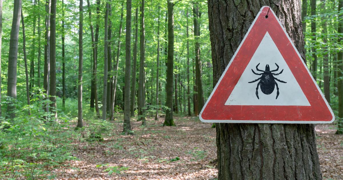 un cas de peste confirmé en Californie