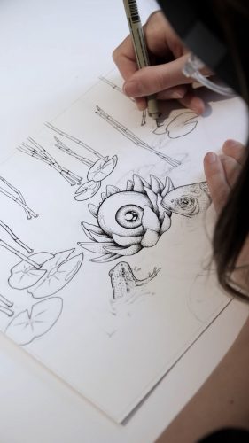 Okograph