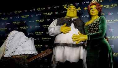 Shrek 5 retarde à nouveau sa sortie à juin 2027