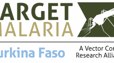 Burkina : Le gouvernement met fin aux activités du projet Target Malaria