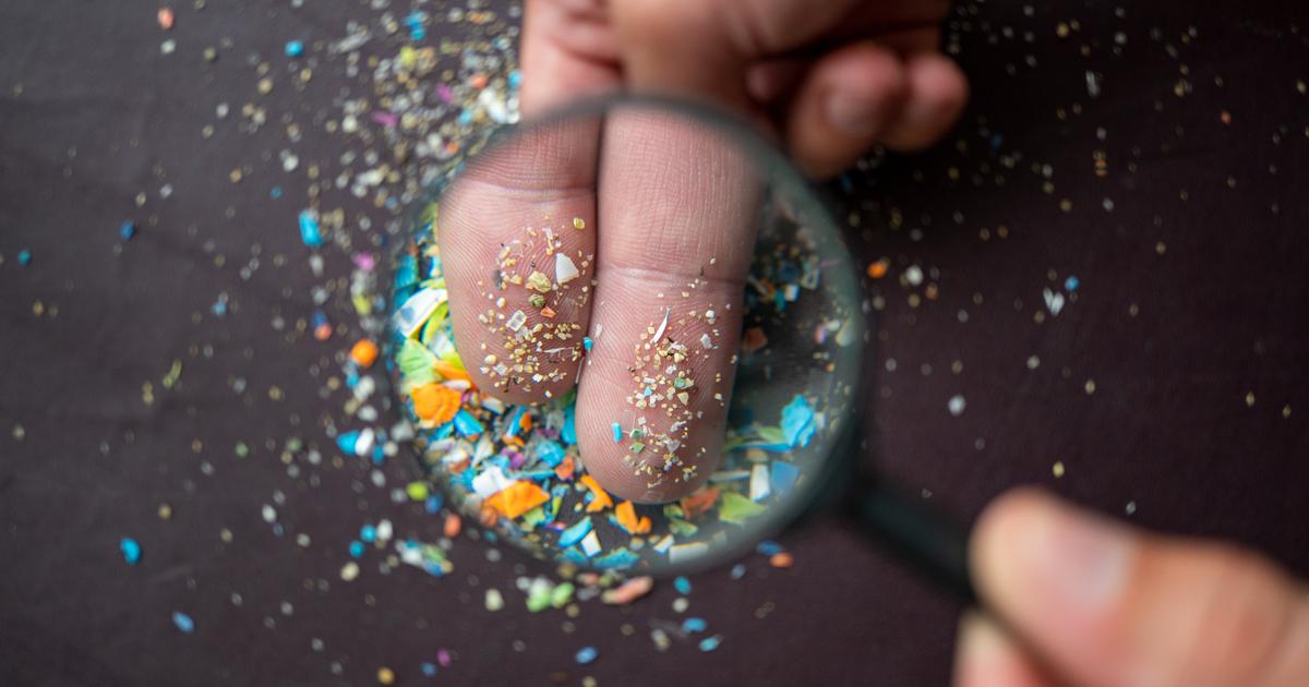 Cerveau, poumon, intestin... Les impacts inquiétants des microplastiques sur la santé