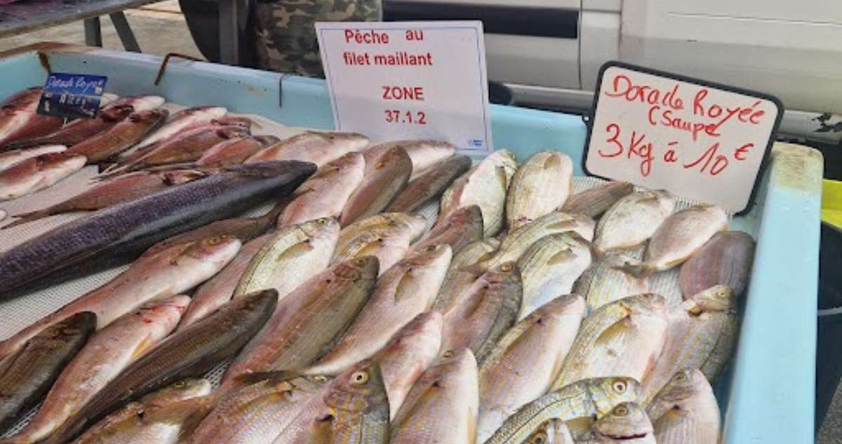 Touristes en PACA : 5 arnaques à éviter absolument cet été
