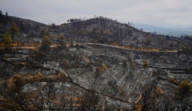 Les incendies de forêt font rage dans le sud de l'Europe en raison de températures record