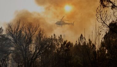 Feux de forêt : les demandes de solidarité de l'UE déjà équivalentes à celles de la saison 2024