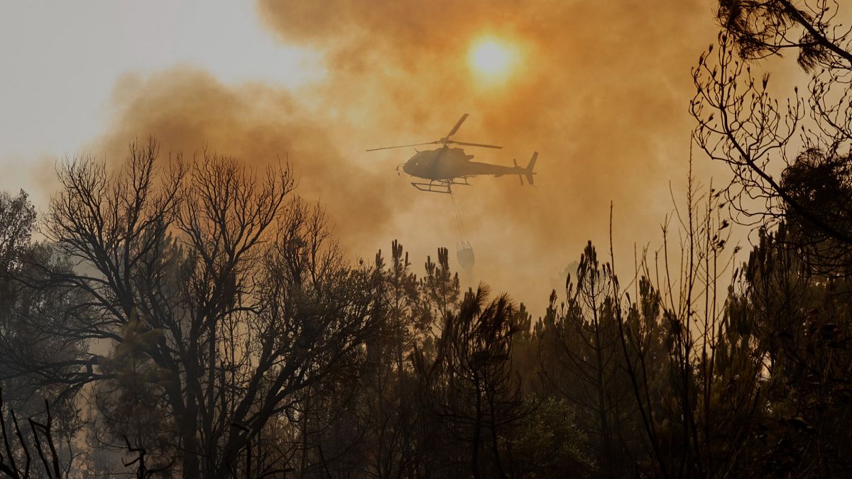 Feux de forêt : les demandes de solidarité de l'UE déjà équivalentes à celles de la saison 2024