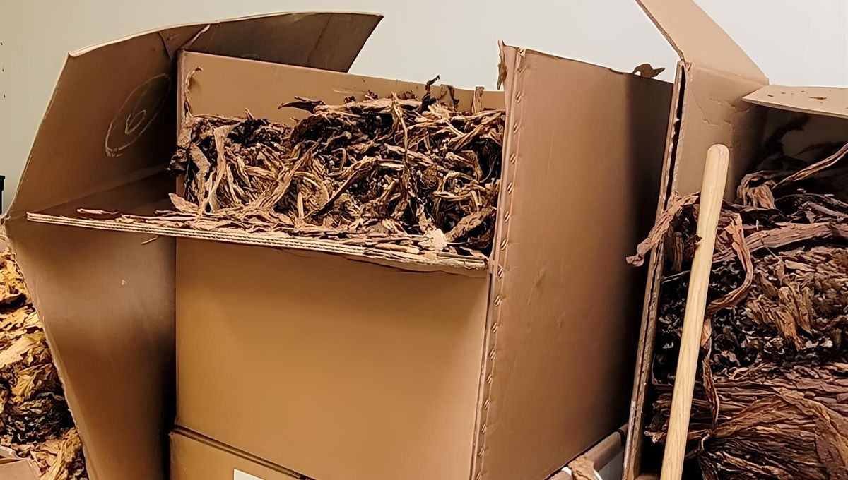 Plus de quatre tonnes de tabac saisies par les douanes en périphérie de Grenoble