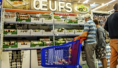 Poules élevées en cage, antibiotiques interdits : des oeufs importés d'Ukraine inquiètent la profession