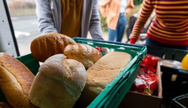 "La précarité alimentaire n'a pas de saison" : les Restos du Cœur déplorent un été de distributions record à Strasbourg