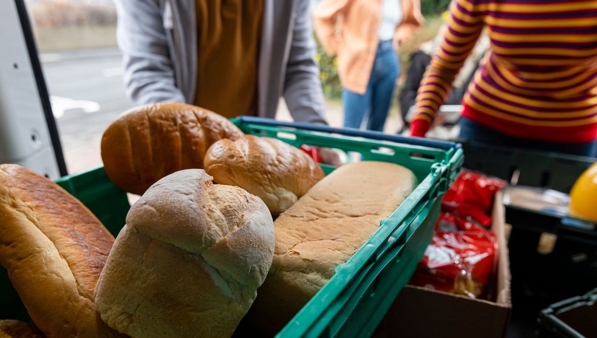"La précarité alimentaire n'a pas de saison" : les Restos du Cœur déplorent un été de distributions record à Strasbourg