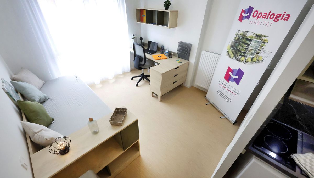 Lille classée 19ème ville la plus chère pour les étudiants selon l'UNEF