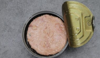Thon banni temporairement des cantines : à Lille, "un principe de précaution" pour alerter, dit la première adjointe